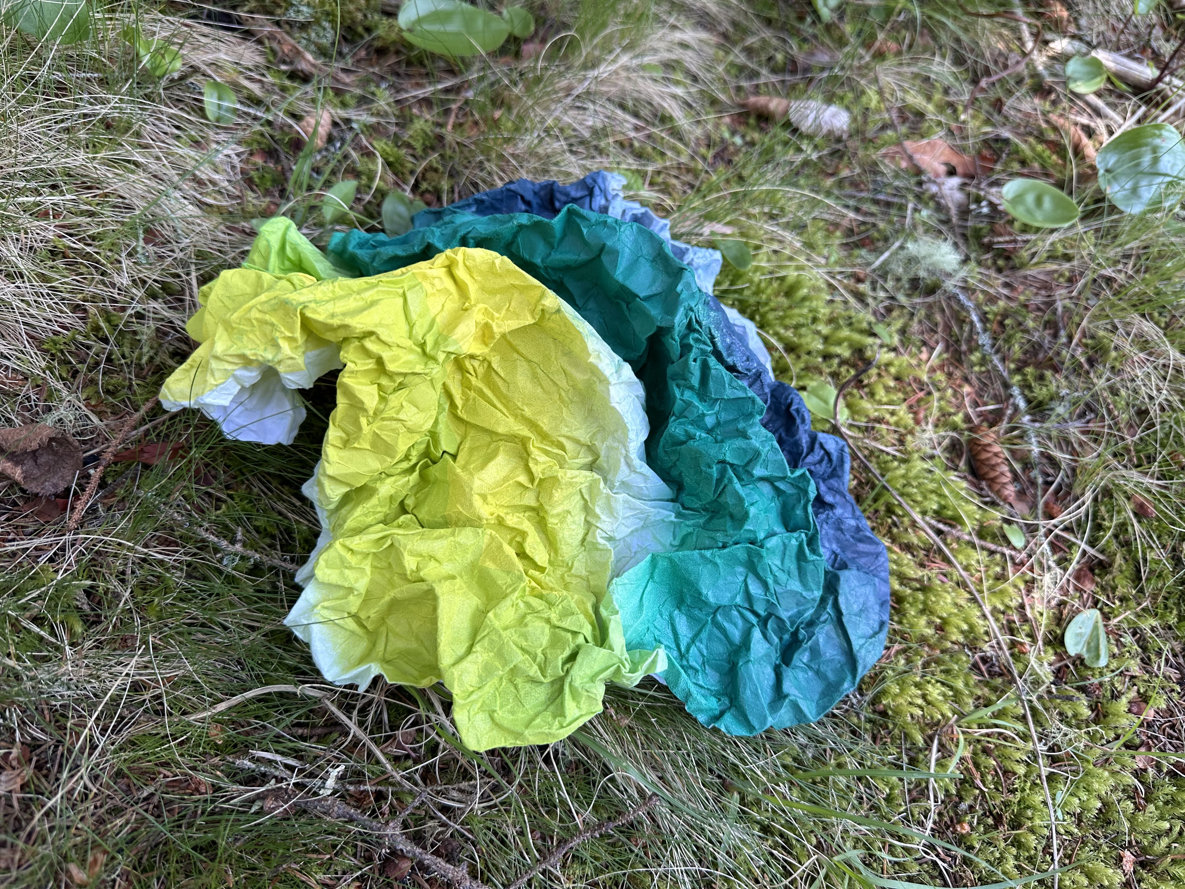 Artina 2026: Ripples of Ten Years Artwork